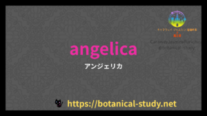 英語版アンゼリカの香りの性質辞典のアイキャッチ
