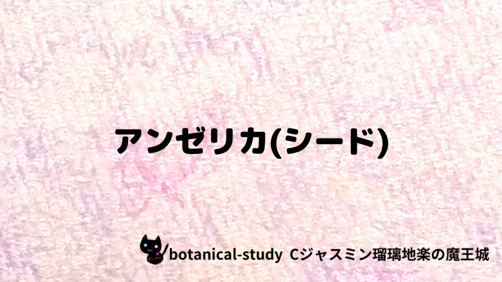 アンゼリカ(シード)のプチ辞典クイズのアイキャッチ