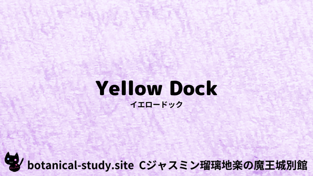 英語版イエロードックのプチ辞典クイズのアイキャッチ