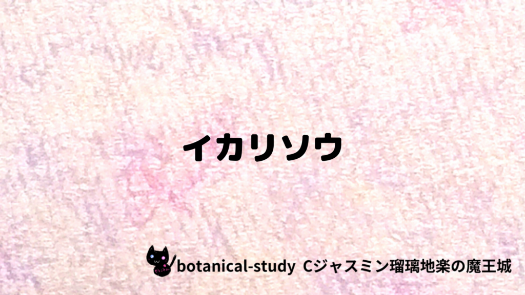 イカリソウのプチ辞典クイズのアイキャッチ