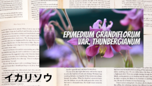 イカリソウの植物素材辞典のアイキャッチ