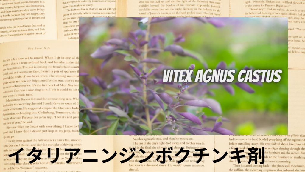 イタリアニンジンボクの植物素材辞典のアイキャッチ
