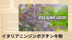 イタリアニンジンボクの植物素材辞典のアイキャッチ