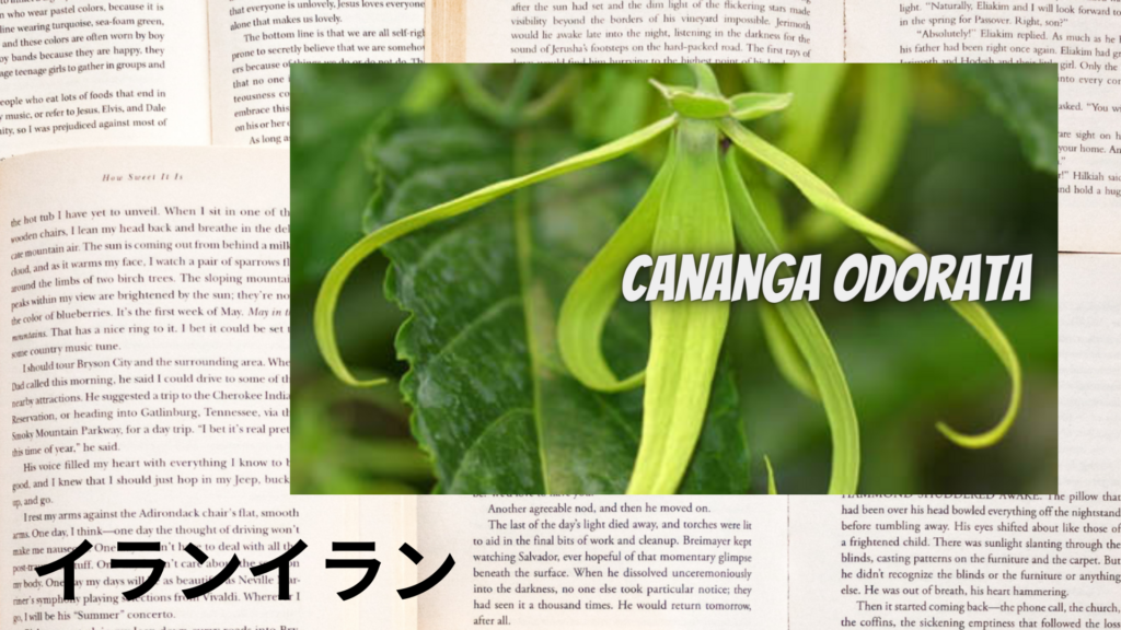 イランイランの植物素材辞典のアイキャッチ