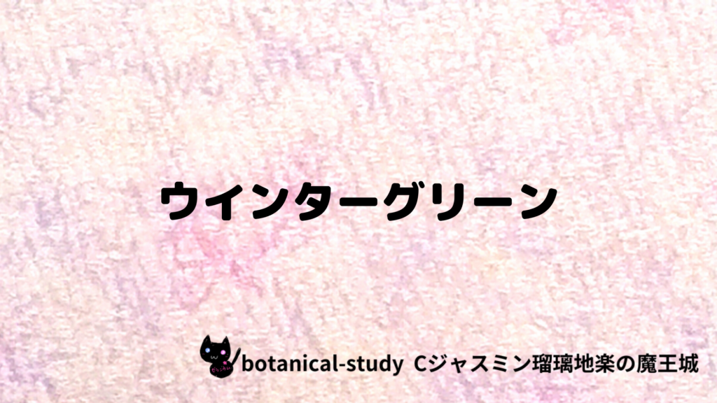 ウインターグリーンのプチ辞典クイズのアイキャッチ