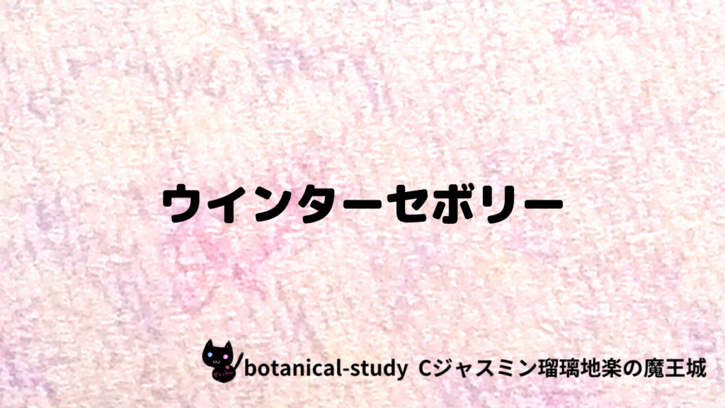 ウインターセボリーのプチ辞典クイズのアイキャッチ