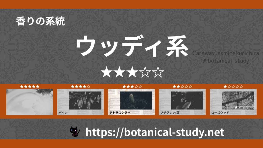 ウッディ(木系・森林系) 内分類：香りの強さ３｜アロマ精油一覧のアイキャッチ画像