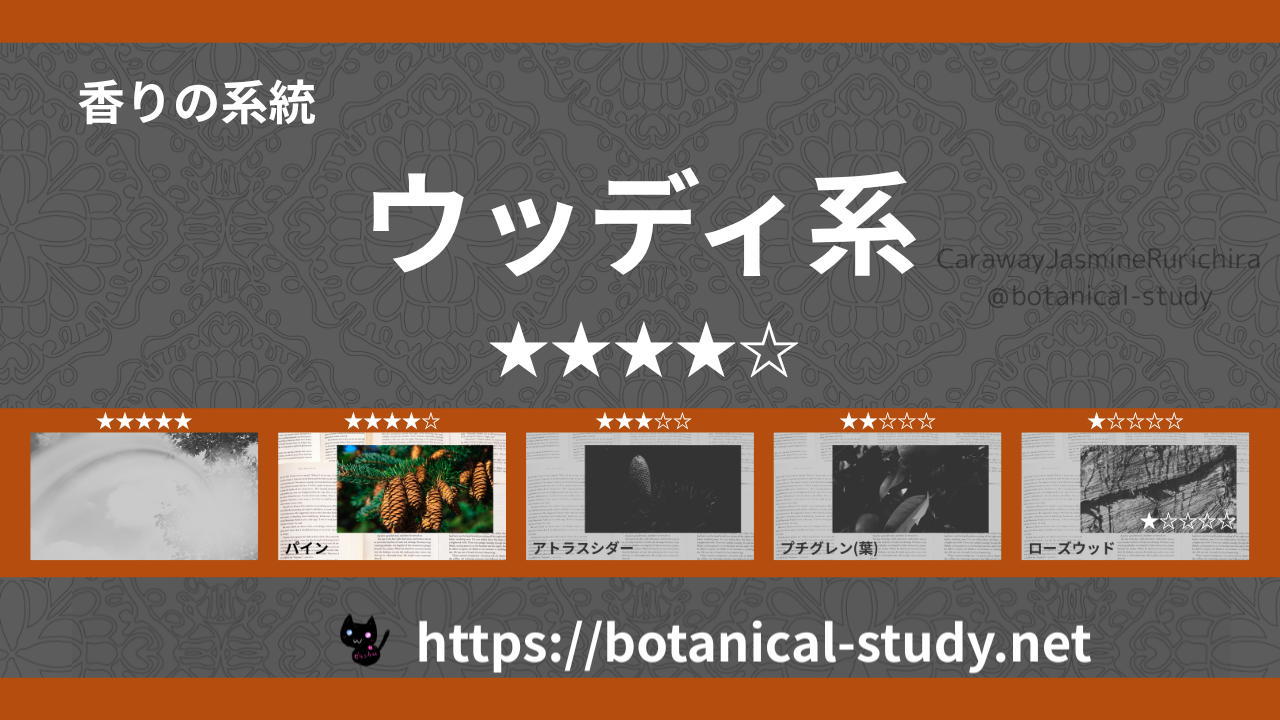 ウッディ(木系・森林系) 内分類：香りの強さ４｜アロマ精油一覧のアイキャッチ画像