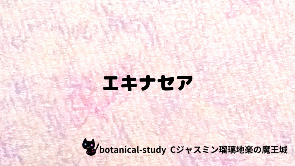 エキナセアのプチ辞典クイズのアイキャッチ