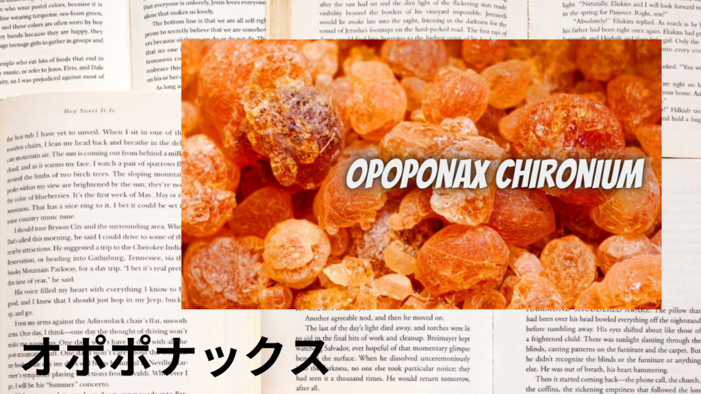 オポポナックスの植物素材辞典のアイキャッチ