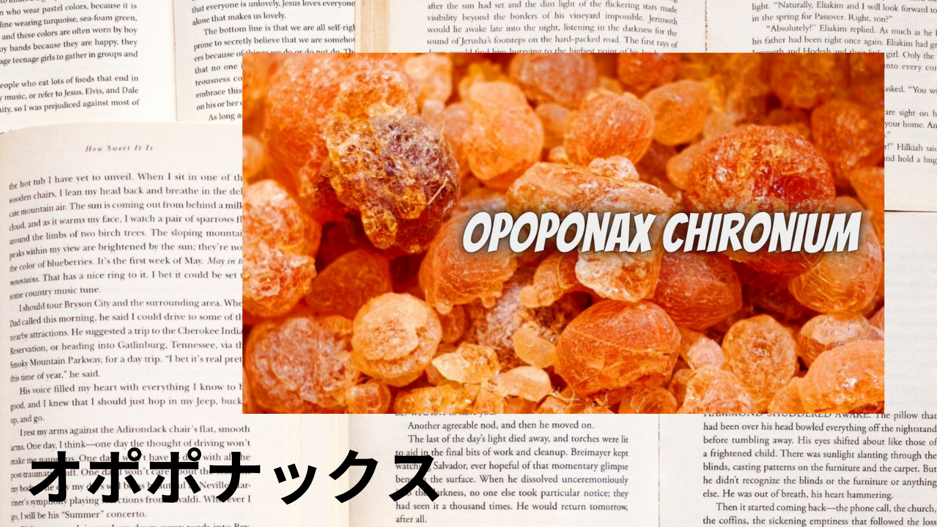 オポポナックスの植物素材辞典のアイキャッチ