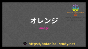 オレンジの香りの性質辞典のアイキャッチ