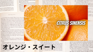 オレンジスイートの植物素材辞典のアイキャッチ
