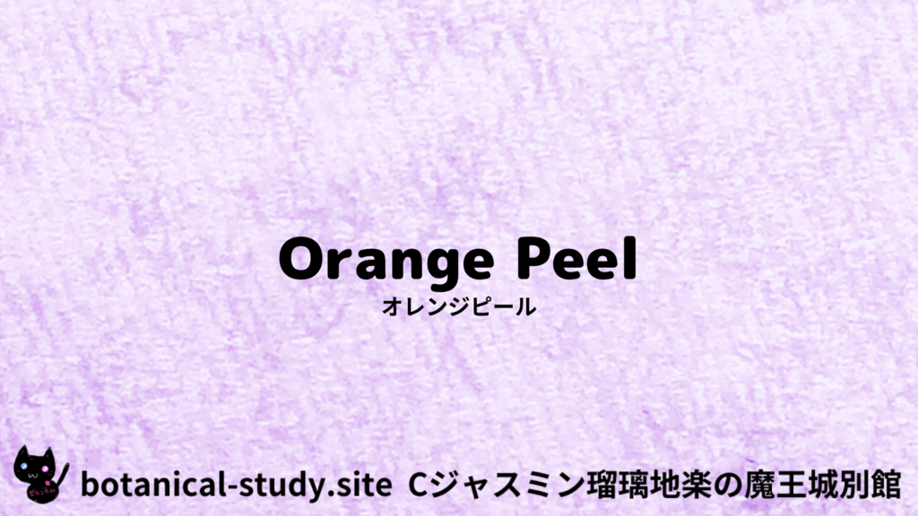 英語版オレンジピールのプチ辞典クイズのアイキャッチ