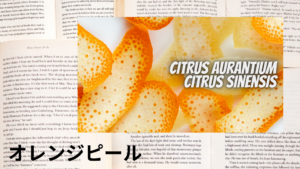オレンジピールの植物素材辞典のアイキャッチ