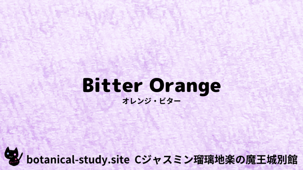 英語版オレンジ・ビターのプチ辞典クイズのアイキャッチ
