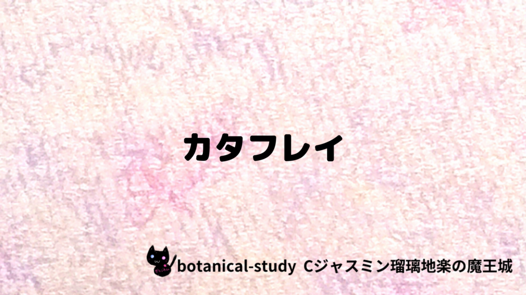 カタフレイのプチ辞典クイズのアイキャッチ