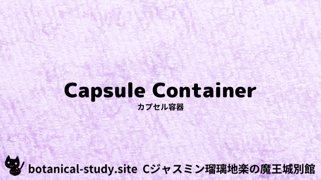英語版カプセル容器のプチ辞典クイズのアイキャッチ