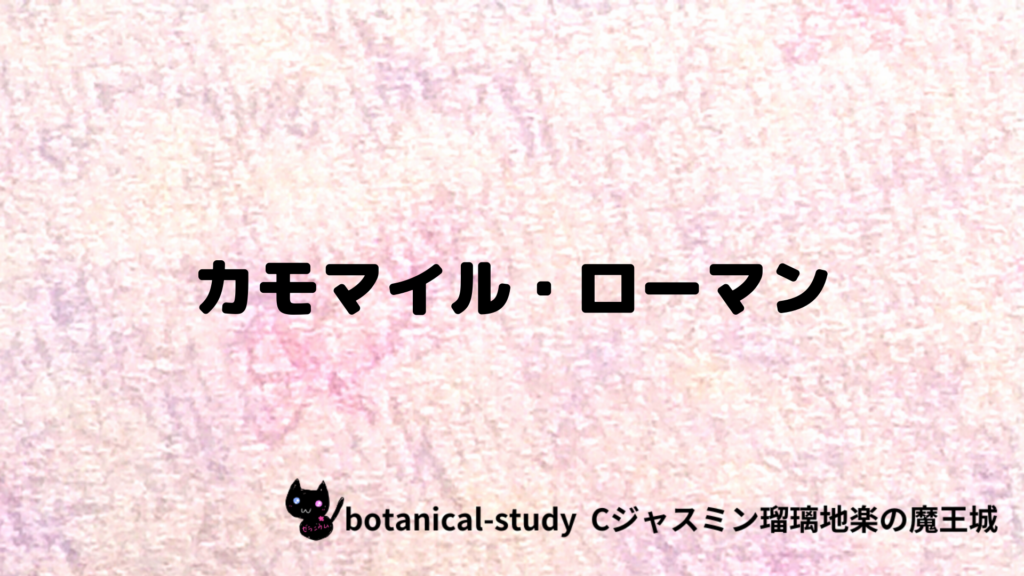 カモマイルローマンのプチ辞典クイズのアイキャッチ