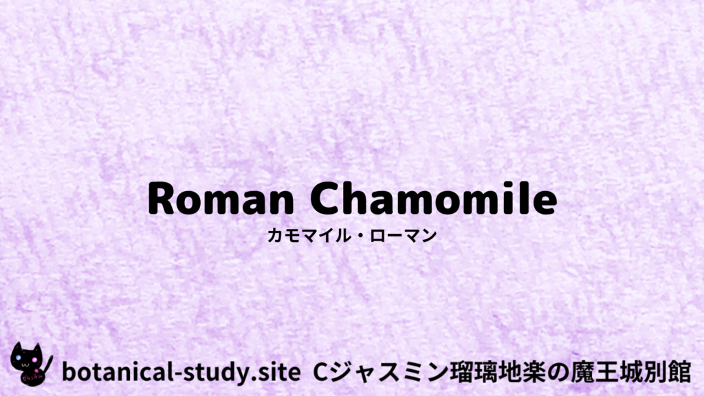 英語版カモマイルローマンのプチ辞典クイズのアイキャッチ