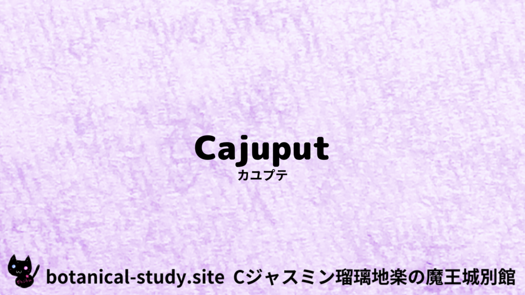 英語版カユプテのプチ辞典クイズのアイキャッチ
