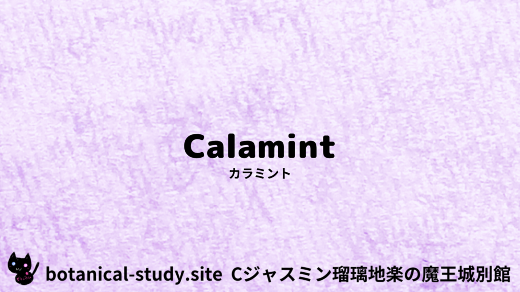 英語版カラミントのプチ辞典クイズのアイキャッチ
