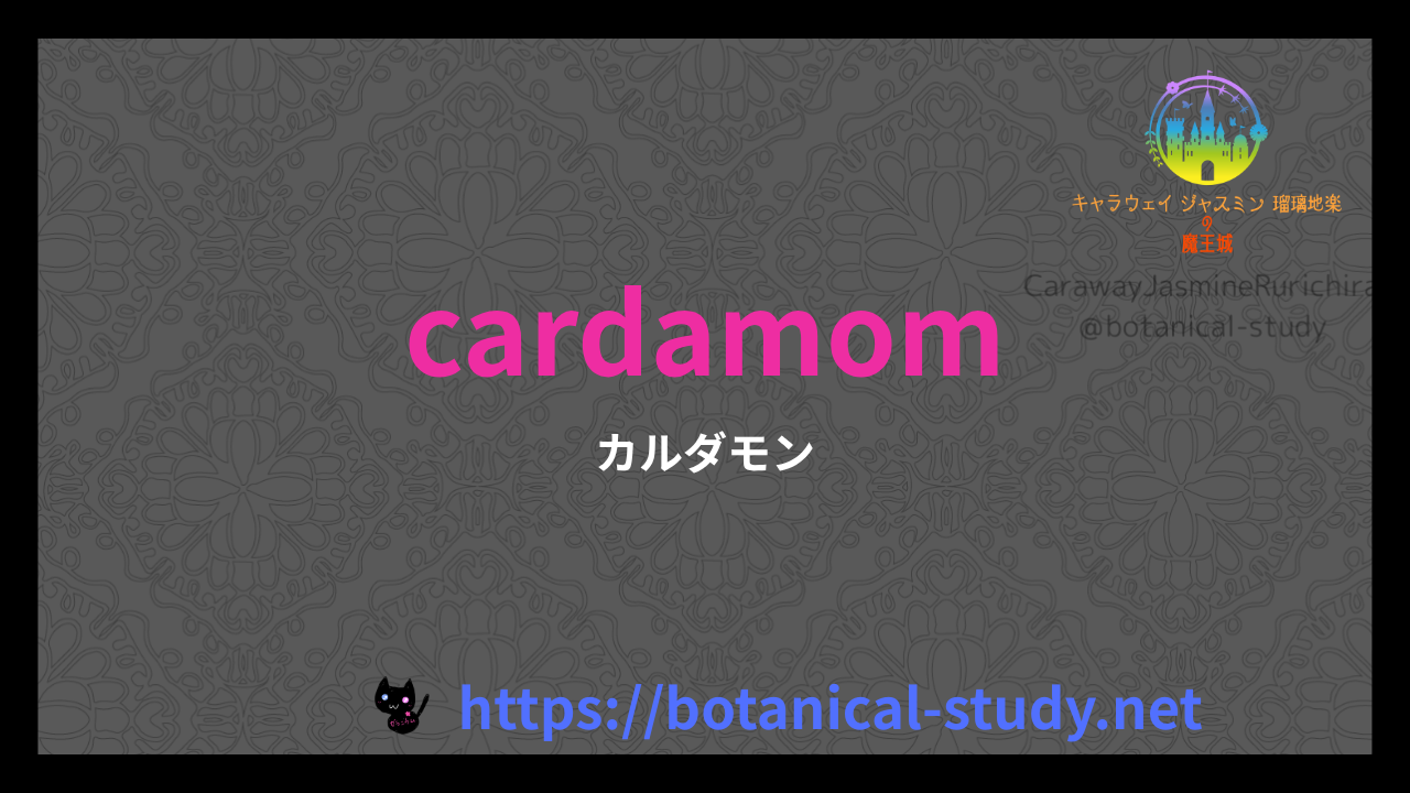 英語版カルダモンの香りの性質辞典のアイキャッチ