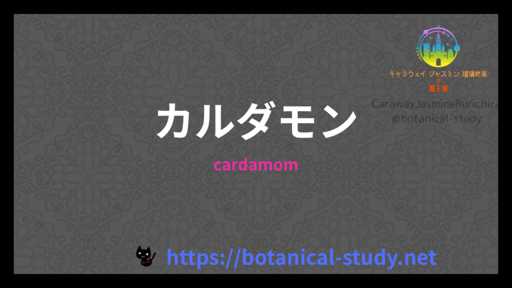 カルダモンの香りの性質辞典のアイキャッチ
