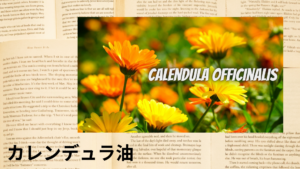 カレンデュラ油の植物素材辞典のアイキャッチ