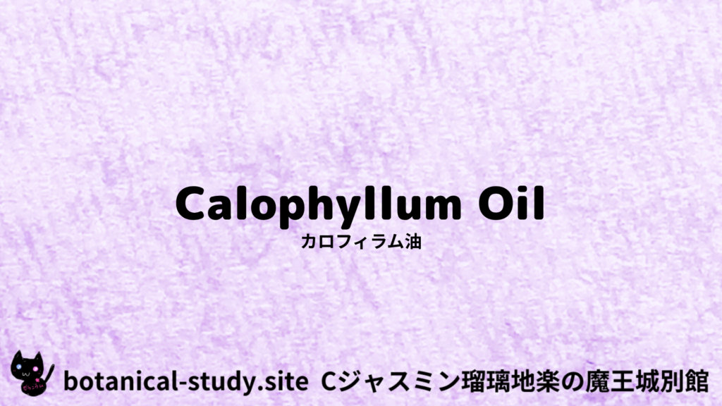 英語版カロフィラム油のプチ辞典クイズのアイキャッチ