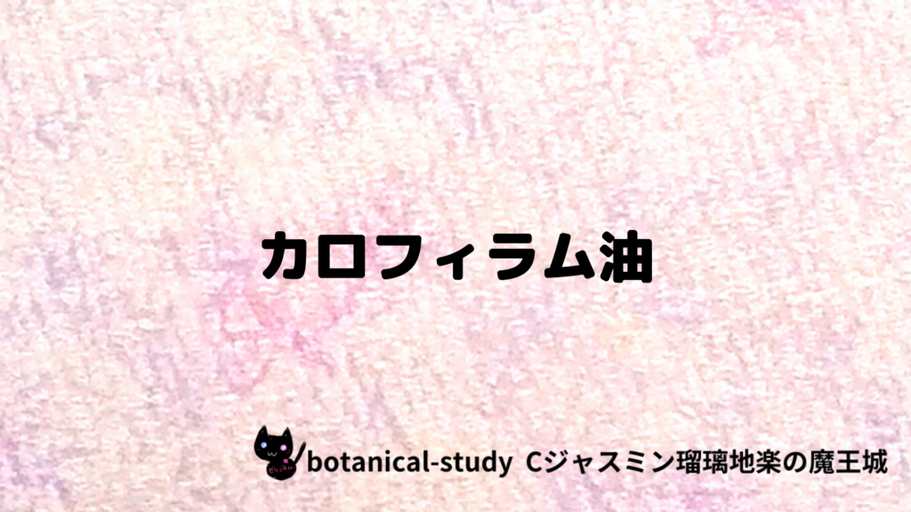 カロフィラム油のプチ辞典クイズのアイキャッチ