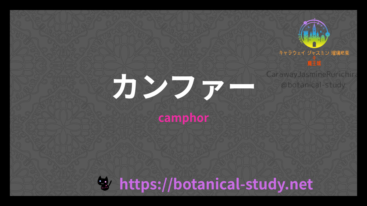 カンファーの香りの性質辞典のアイキャッチ