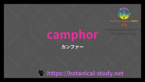 英語版カンファーの香りの性質辞典のアイキャッチ