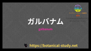 ガルバナムの香りの性質辞典のアイキャッチ
