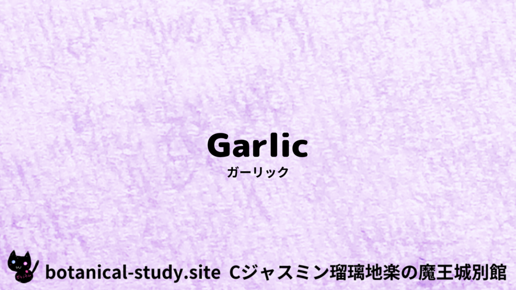 英語版ガーリックのプチ辞典クイズのアイキャッチ