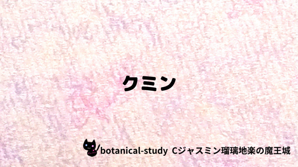 クミンのプチ辞典クイズのアイキャッチ