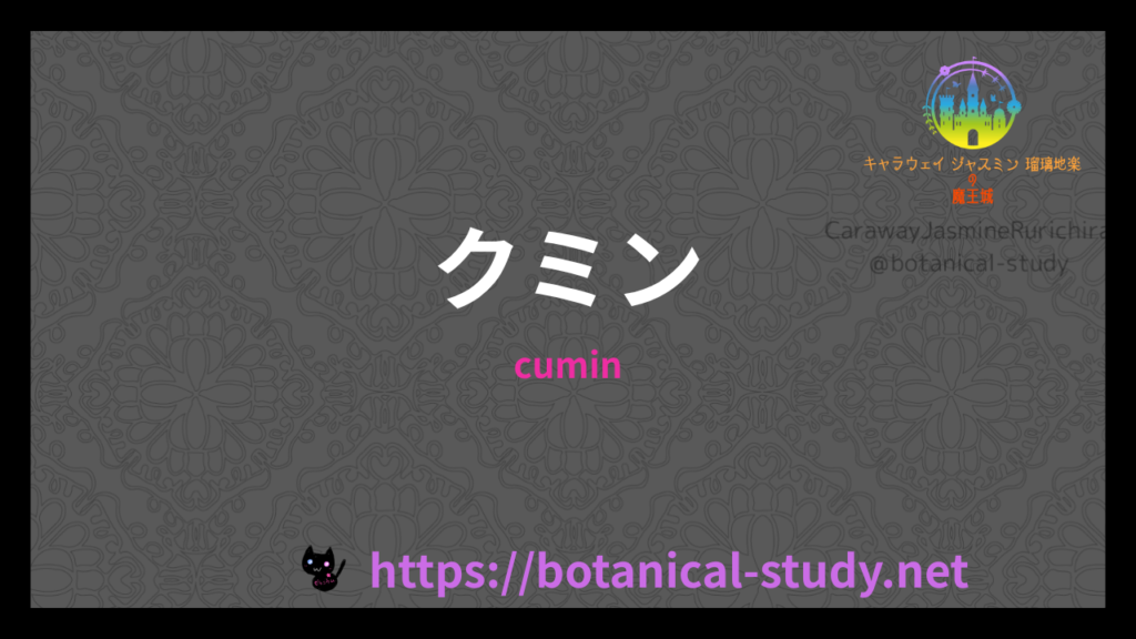 クミンの香りの性質辞典のアイキャッチ