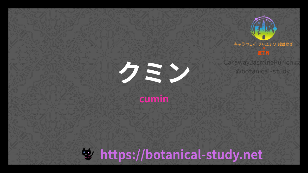 クミンの香りの性質辞典のアイキャッチ