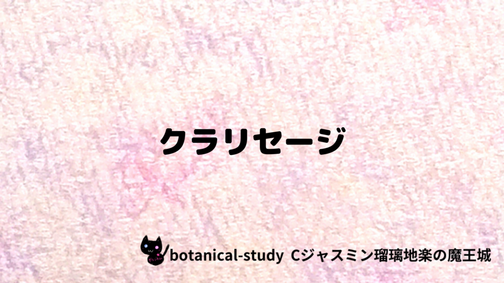 クラリセージのプチ辞典クイズのアイキャッチ
