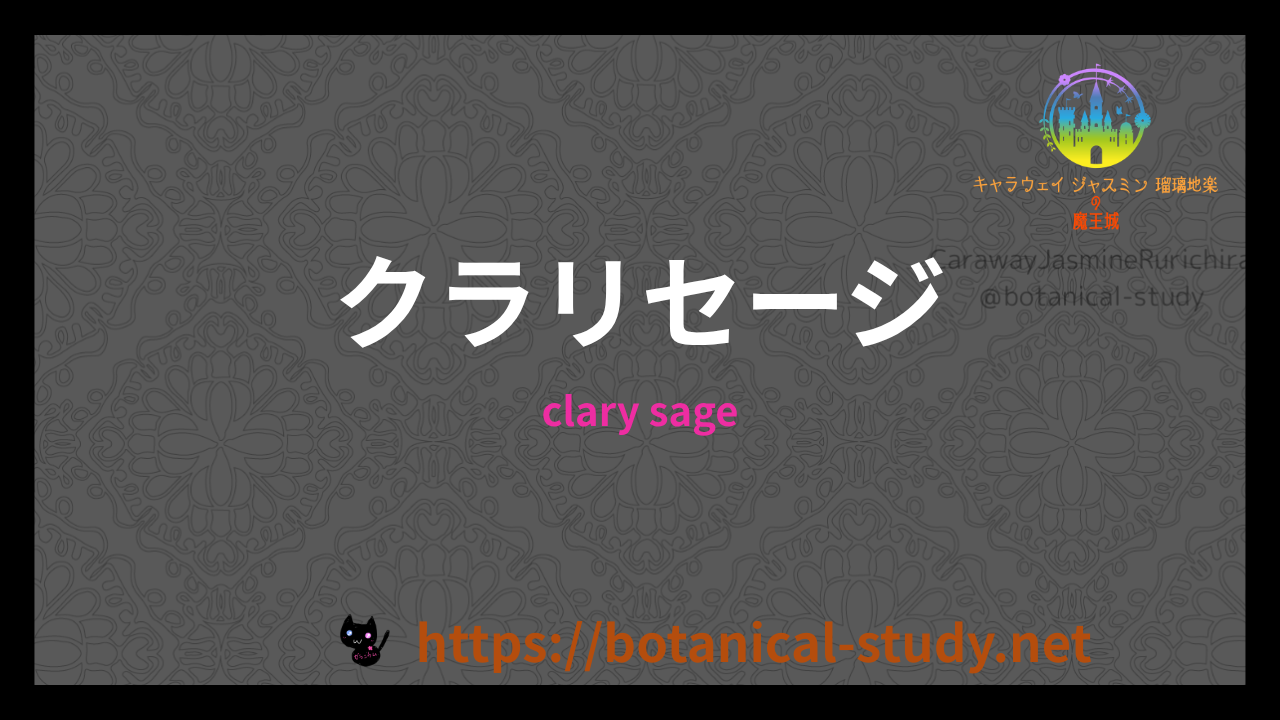 クラリセージの香りの性質辞典のアイキャッチ