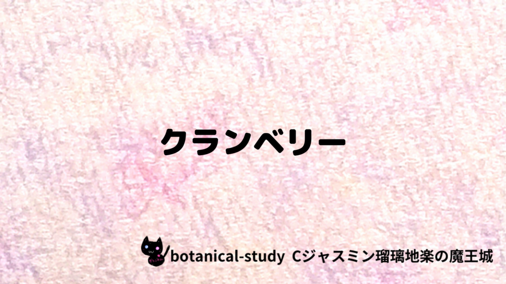 クランベリーのプチ辞典クイズのアイキャッチ