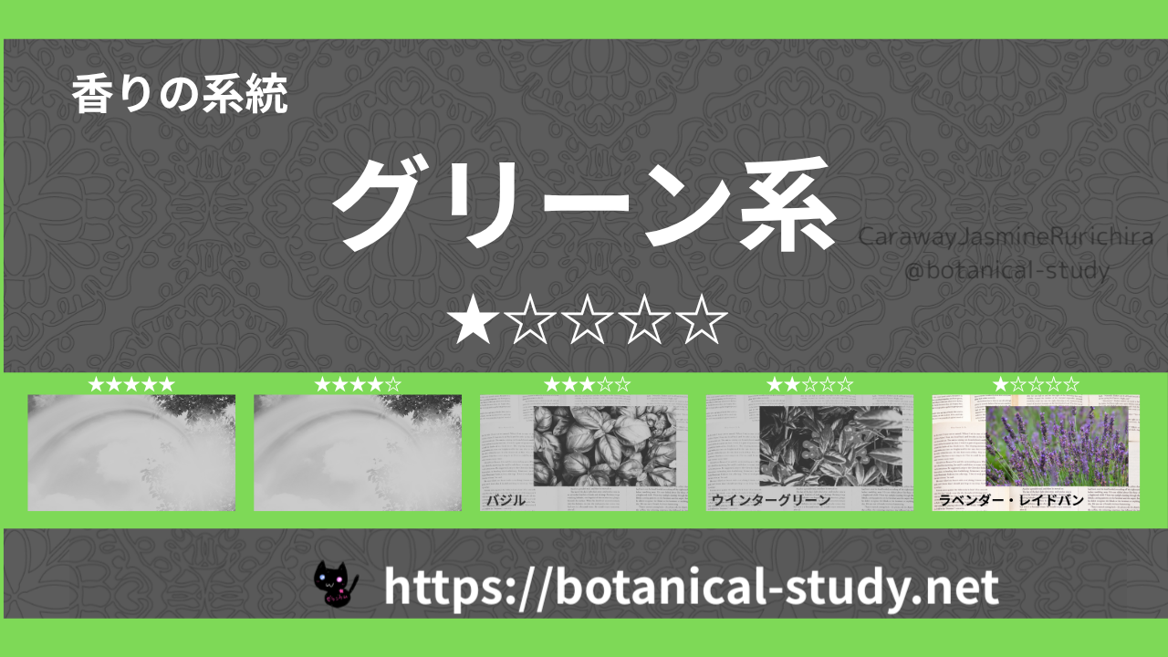 グリーン(青葉系) 内分類：香りの強さ１｜アロマ精油一覧のアイキャッチ画像