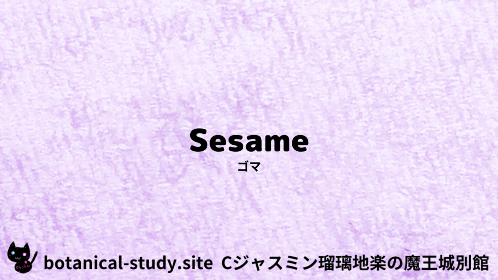 英語版ゴマのプチ辞典クイズのアイキャッチ