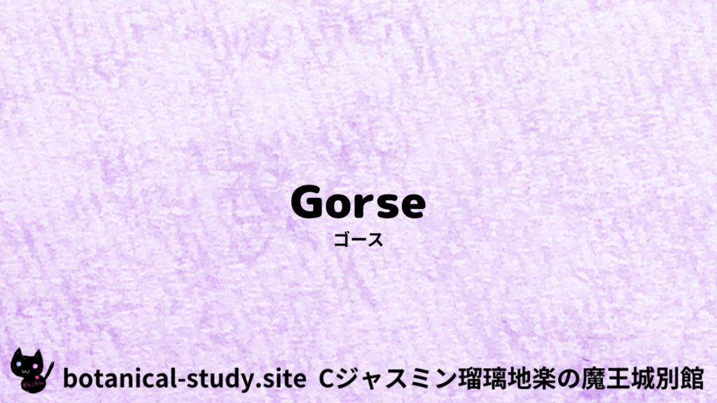 英語版ゴースのプチ辞典クイズのアイキャッチ