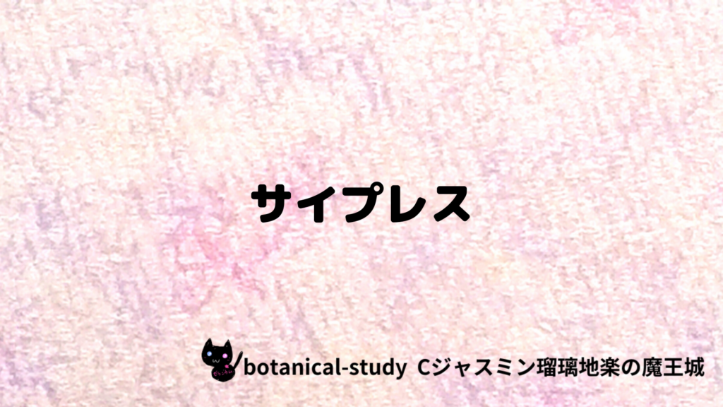サイプレスのプチ辞典クイズのアイキャッチ