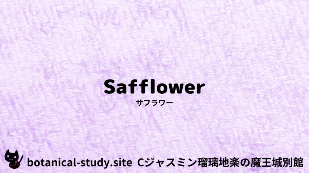 英語版サフラワーのプチ辞典クイズのアイキャッチ