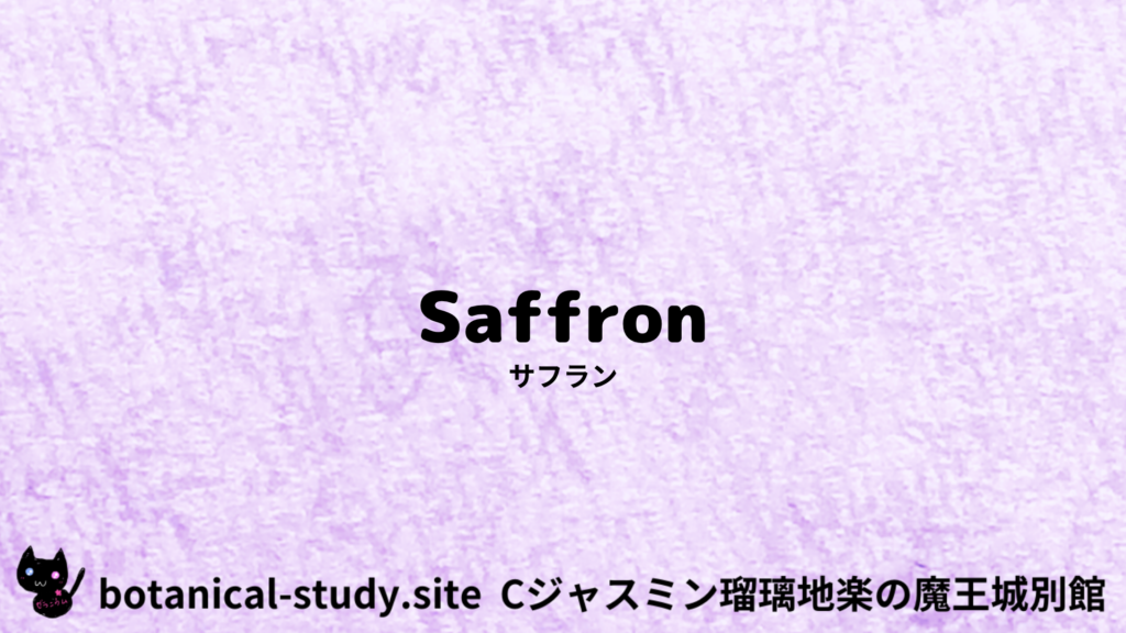 英語版サフランのプチ辞典クイズのアイキャッチ
