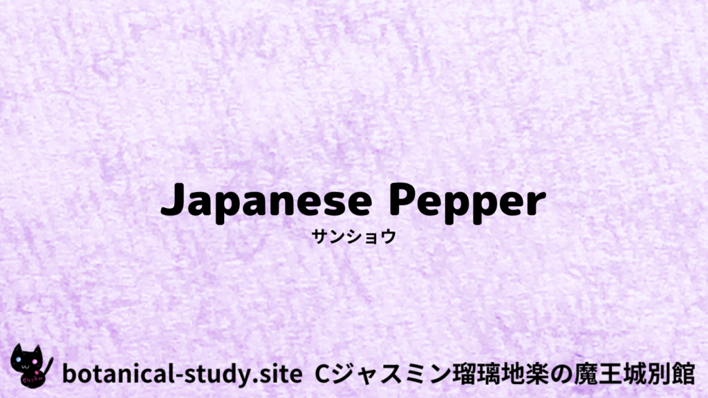 英語版サンショウのプチ辞典クイズのアイキャッチ