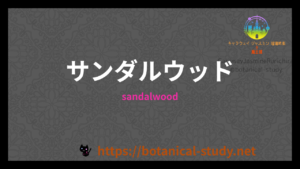 サンダルウッドの香りの性質辞典のアイキャッチ