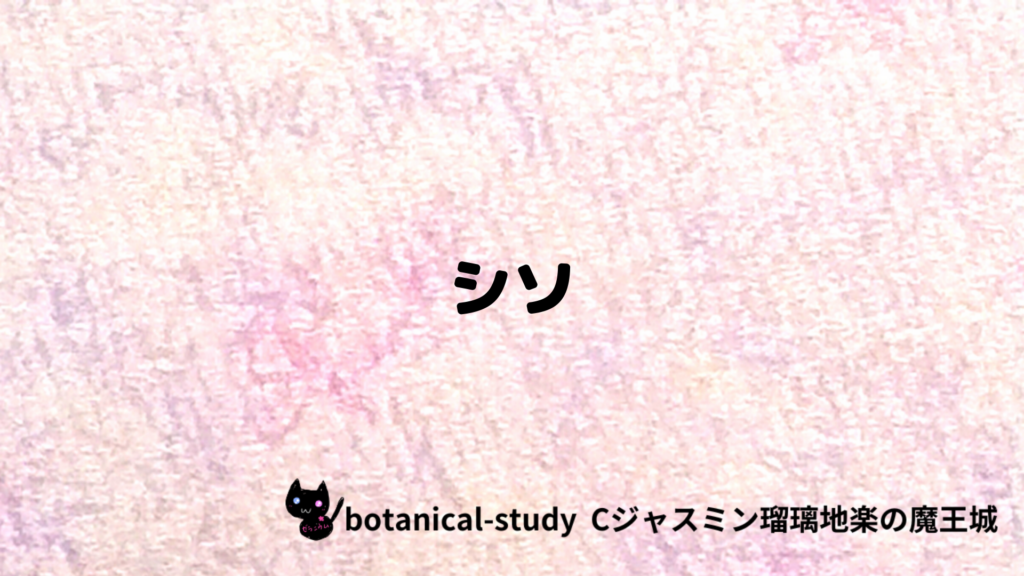 シソのプチ辞典クイズのアイキャッチ
